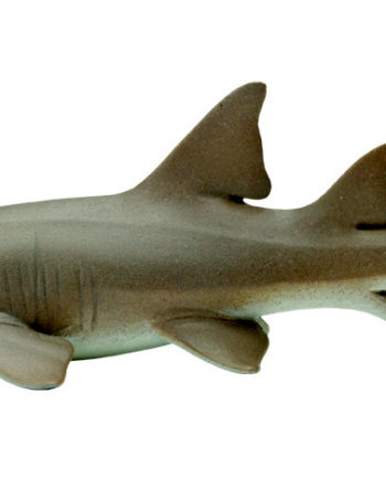 nurse shark