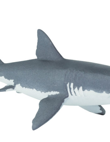 great white shark 10"