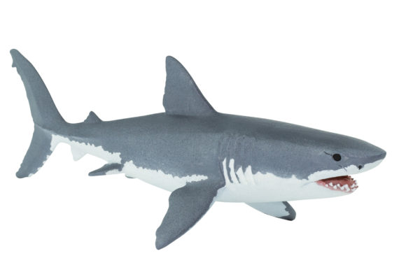 great white shark 10"