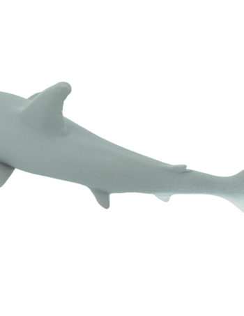 hammerhead shark