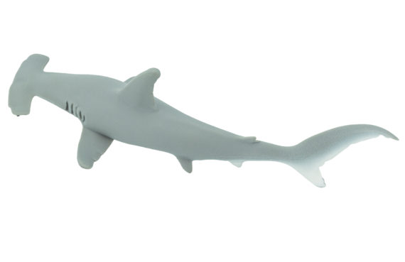 hammerhead shark