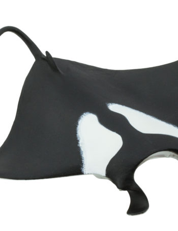 manta ray model