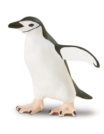chinstrap penguin model