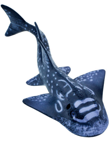 shark ray