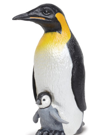 emperor penguin and baby