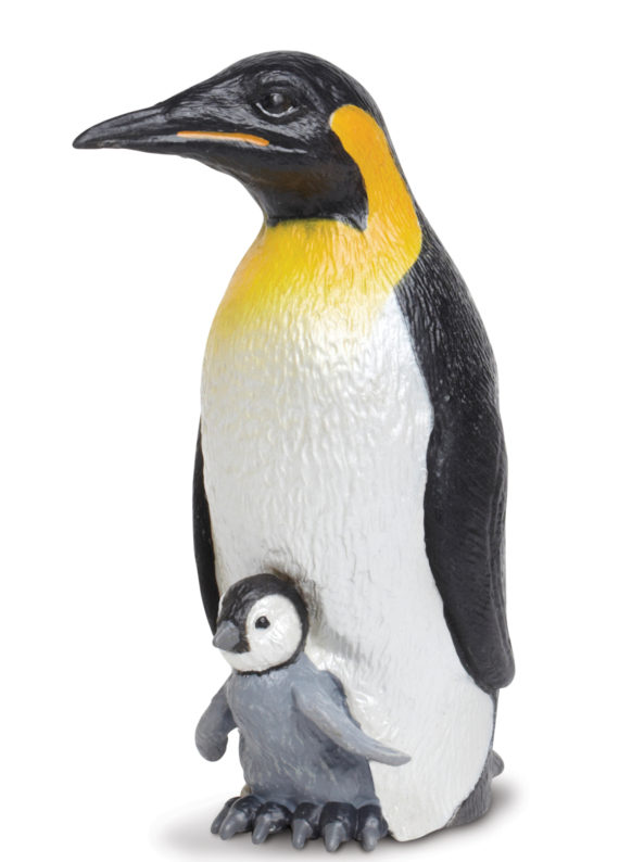 emperor penguin and baby
