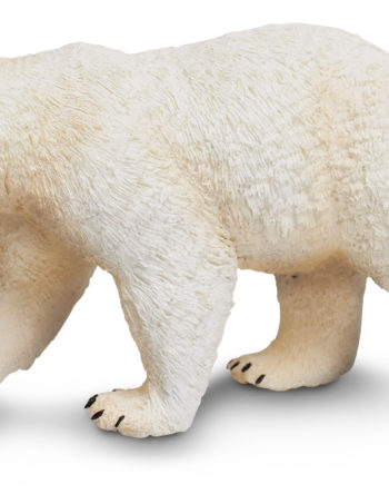 polar bear