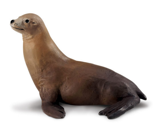 sea lion model