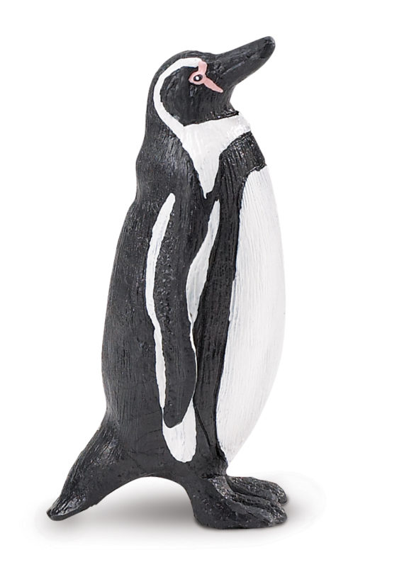 humboldt penguin