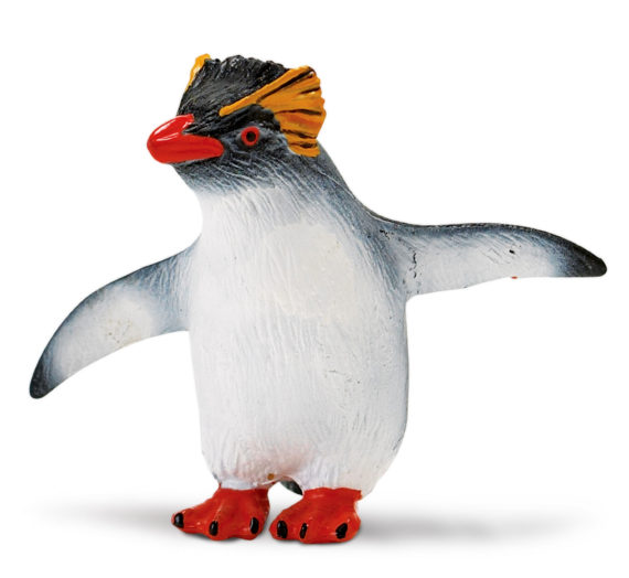 rockhopper penguin