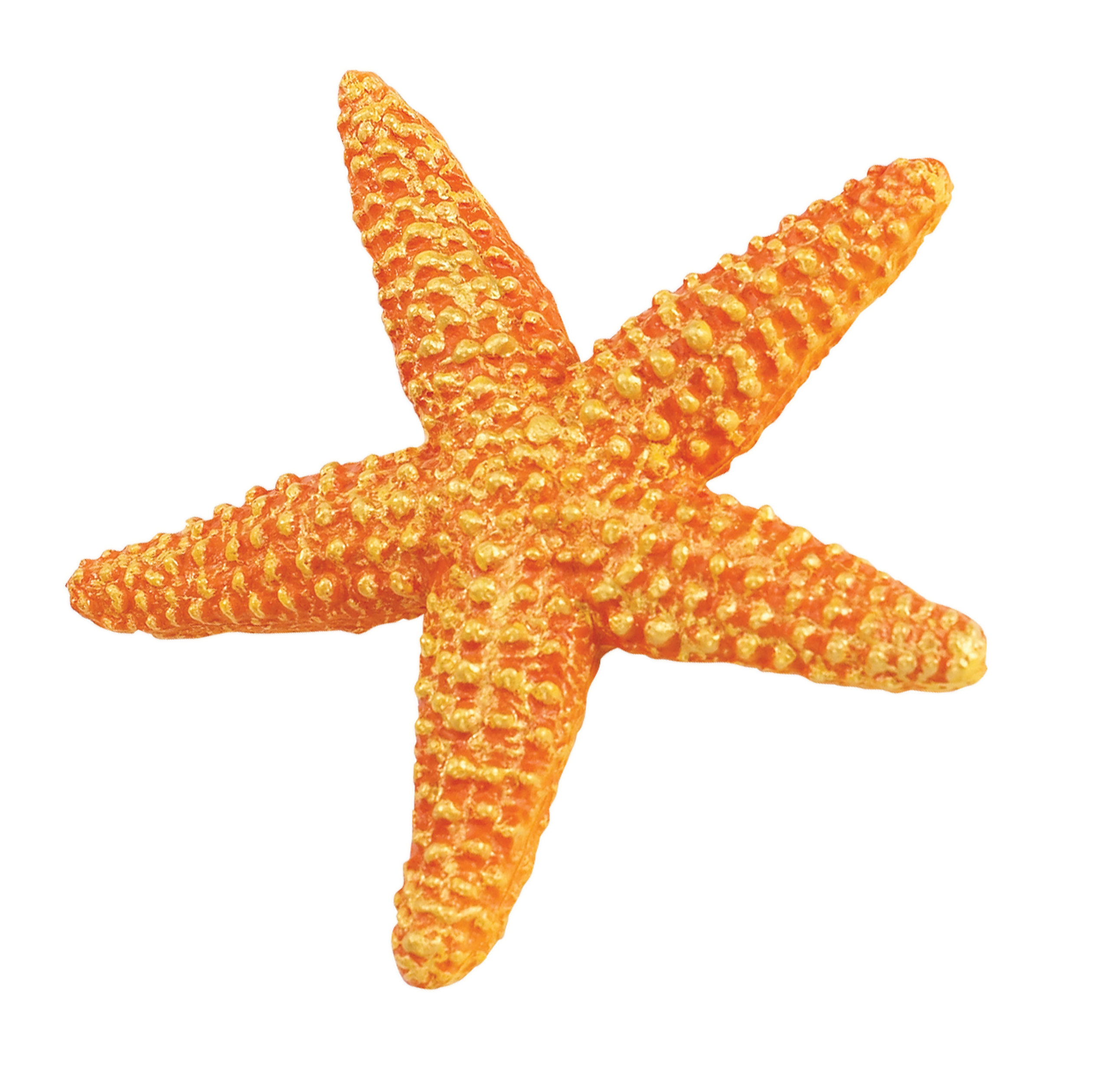 Small Starfish Flat Yellow Mini Starfish With Rectangular - Temu