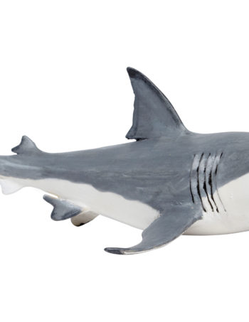 megalodon