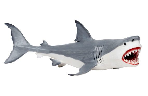 megalodon