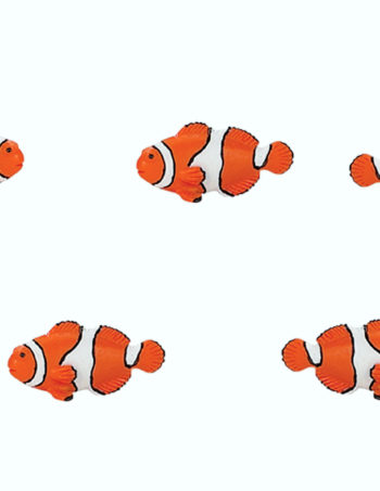 set of 12 mini clown anemone fish