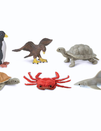 mini galapagos set