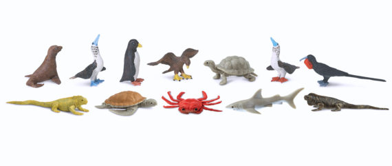 mini galapagos set