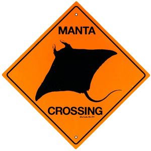manta ray sign image