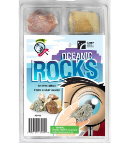 oceanic rock specimens