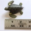 turtle ID 2