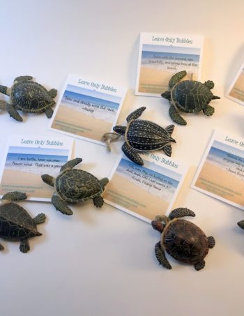 sea turtle gift set