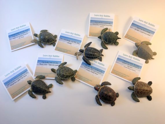 sea turtle gift set