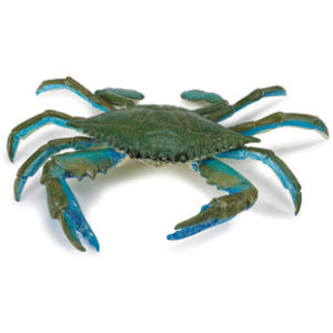 blue crab model