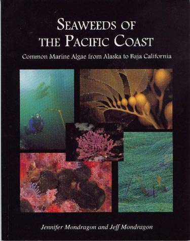 Seaweeds Of The Pacific Coast Photo Book Leave Only Bubbles