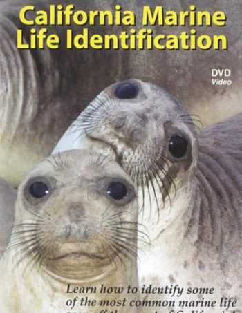 California Marine Life DVD cover