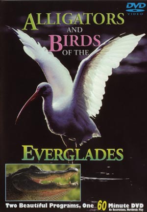 everglades birds and alligators DVD