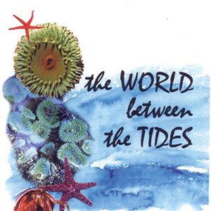 world between the tides dvd