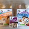 ocean rocks, fossils, seashells set