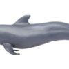pilot whale