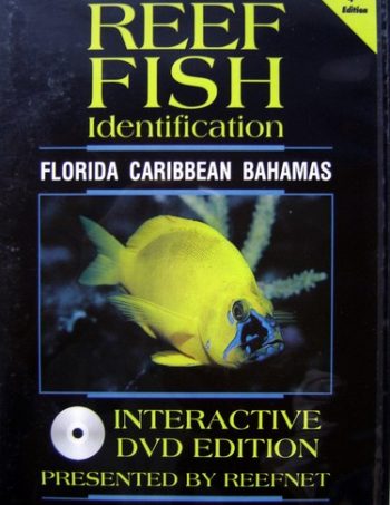 reef fish interactive DVD