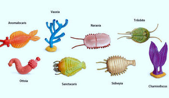 cambrian life set