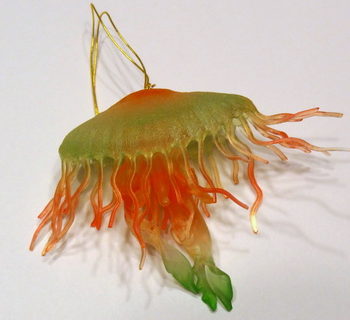 jellyfish model
