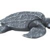 leatherback sea turtle model