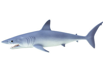 mako shark model