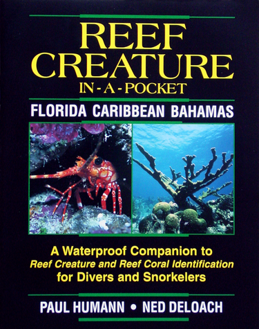 Reef Creature Florida Caribbean Bahamas Waterproof