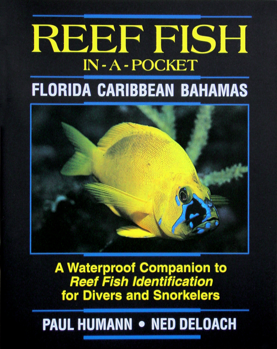 Reef Fish Waterproof Pocket Guide Florida Caribbean Bahamas