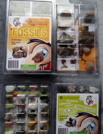 rocks minerals fossils kit of 2