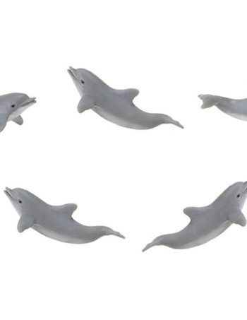 mini dolphin set