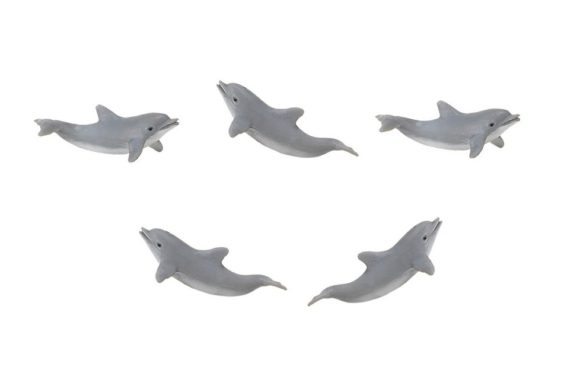 mini dolphin set