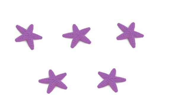 mini starfish
