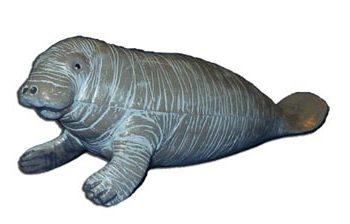 manatee model