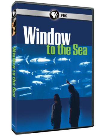 window to the sea aquarium DVD