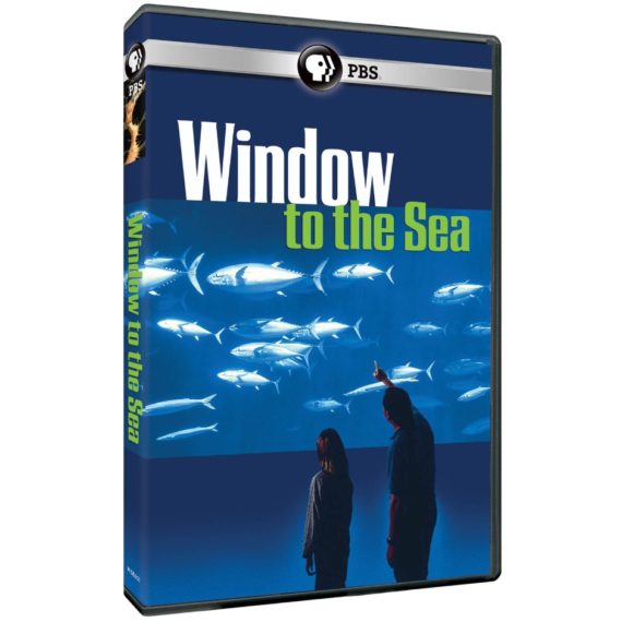 window to the sea aquarium DVD